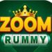 Zoom Rummy app